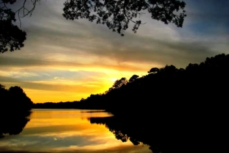 Mirror Lake Browns Mills