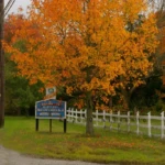 Medford NJ