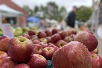 Fall Market Burlington County NJ