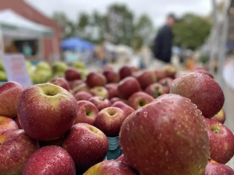Fall Market Burlington County NJ