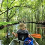 BCR-Wading River-Pine Barrens