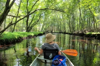 BCR-Wading River-Pine Barrens