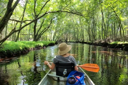 BCR-Wading River-Pine Barrens