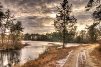 Sandy Pine Barrens road in Browns Mills, NJ lined with tall pine trees at sunset