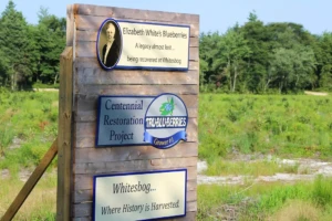 Spotlight: Browns Mills - Lakes, Land & Livability 2 Whitesbog Village sign in Browns Mills, NJ referencing Elizabeth White and blueberry history