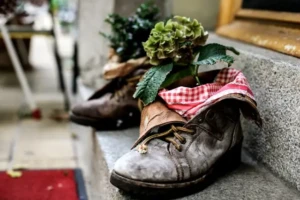 Old boots repurposed as planters with flowers