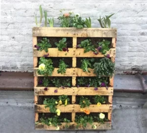 Earth Day at Home: 8 Smart Ways to Reuse Everyday Items 6 Wooden pallet used as a vertical garden planter with flowers