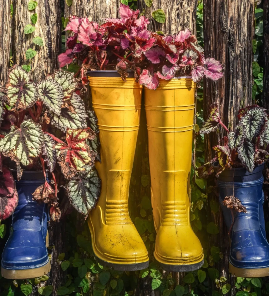Yellow rain boots used as planters with flowers