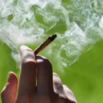 4/20 in Burlington County: Deals, Events & Local Dispensary Specials
