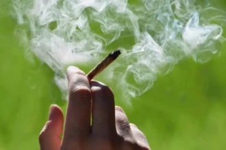 4/20 in Burlington County: Deals, Events & Local Dispensary Specials