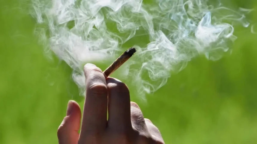 4/20 in Burlington County: Deals, Events & Local Dispensary Specials