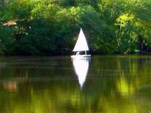 Small sailboat crossing a lake in Browns Mills, NJ surrounded by Pine Barrens woods