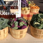 Fresh vegetables and local goods at a Burlington County farmers market
