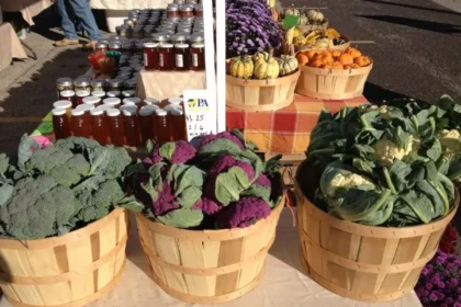 Fresh vegetables and local goods at a Burlington County farmers market