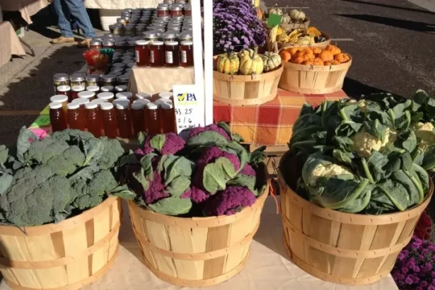 Fresh vegetables and local goods at a Burlington County farmers market
