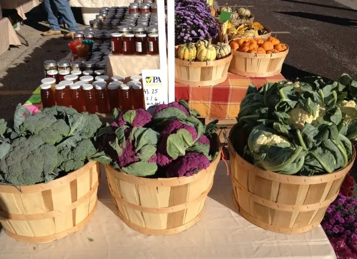 Fresh vegetables and local goods at a Burlington County farmers market